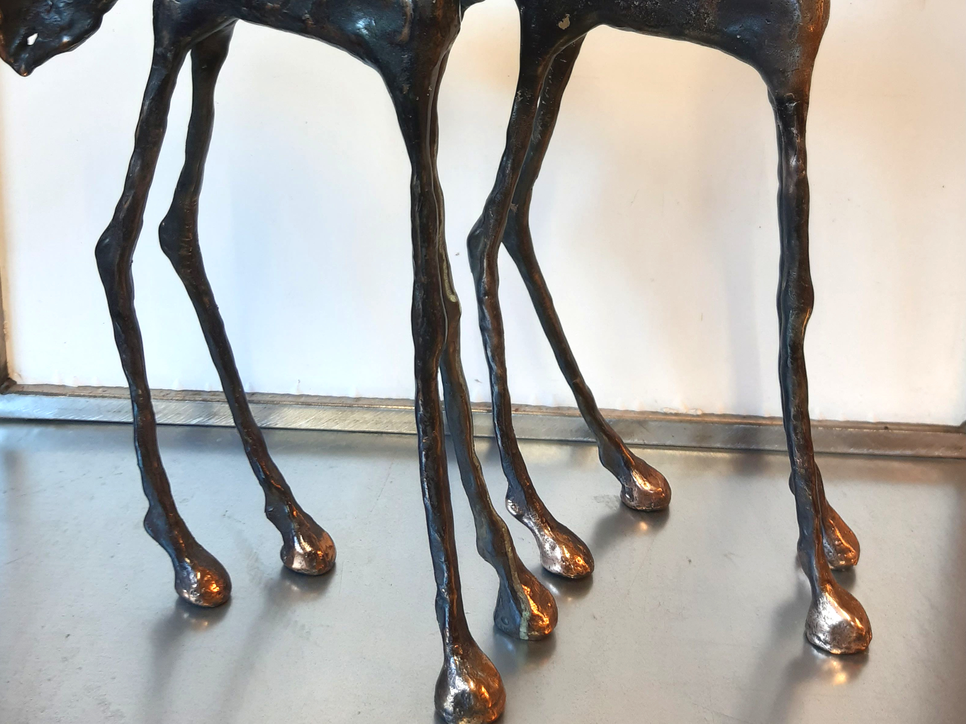 Hest tilbage på fire ben